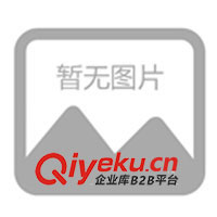 供應(yīng)T恤衫 批發(fā)檔口T恤 100件起